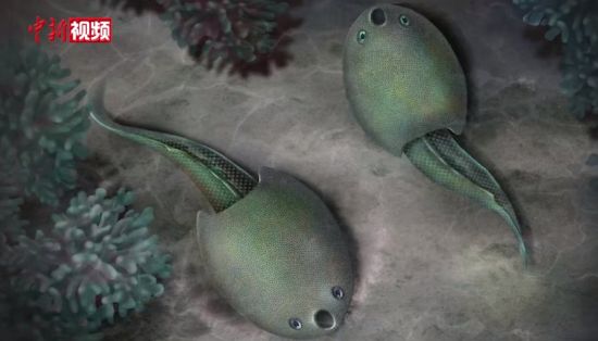{(bio)}

}