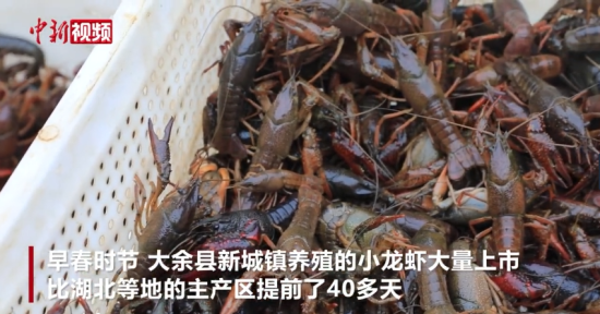 紺Сrr