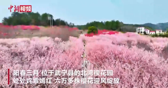 ɽˮСǡ䌎ѻ οɫ