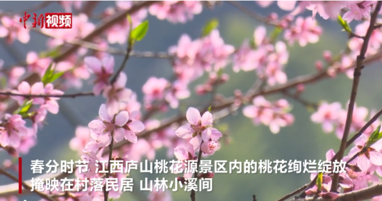 һԴӛ(chung)ԭ͵һʢ ٬F(xin)ԴL(fng)
